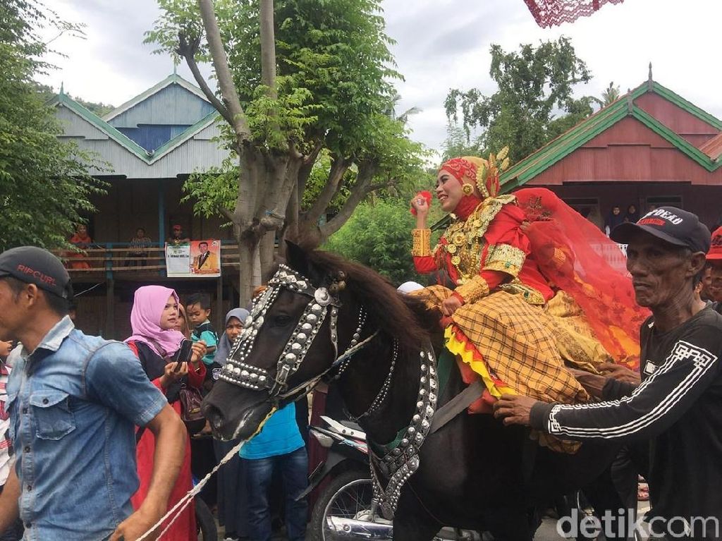 Foto: Penunggang Cantik dan Tradisi Kuda Menari di Sulbar Foto: Penunggang Cantik dan Tradisi Kuda Menari di Sulbar