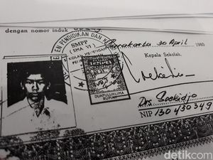 Penyebar Hoax Ditangkap, TKN: Jokowi Tak Mungkin Punya Ijazah Palsu Penyebar Hoax Ditangkap, TKN: Jokowi Tak Mungkin Punya Ijazah Palsu