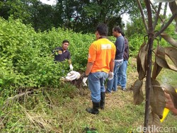Mayat Dalam Tong yang Ditemukan Pemulung Terbungkus Kain Putih