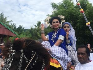 Tradisi Kuda Menari dan Penunggang Cantik dari Polewali Mandar