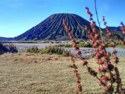 Gunung Bromo Erupsi, Aktivitas Wisata Masih Normal