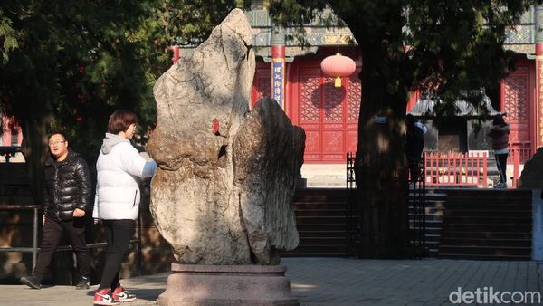 Foto: Pohon dan Batu Keramat yang Bisa Memberkati