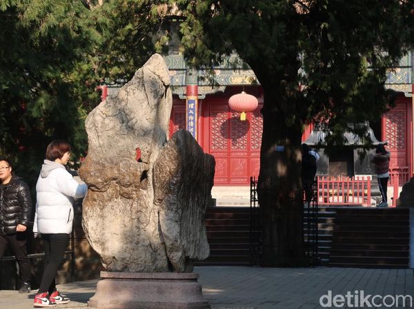 Foto: Pohon dan Batu Keramat yang Bisa Memberkati