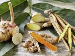 Punya Banyak Khasiat Jadi Alasan Para Politisi Tanah Air Ini Konsumsi Jamu