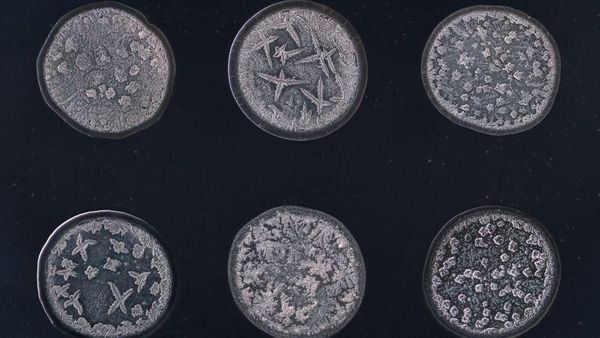 Sedang Sedih atau Bahagia? Ini Indahnya Air Mata di Bawah Mikroskop