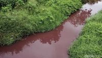 Berwarna Merah, Ada Apa Dengan Kali Mookervart?