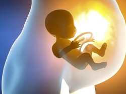 Pengusaha Kripto Ini Ngide Bikin Rahim Sintetis untuk Wanita