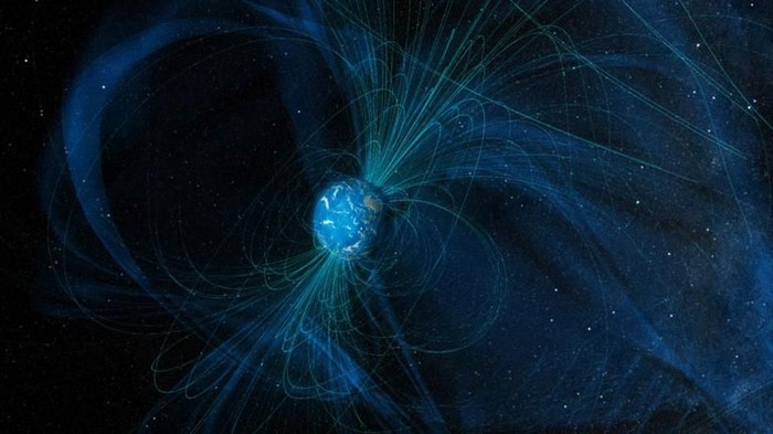 Foto: sciencenews Foto: sciencenews