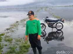 8 Ha Sawah di Banjarnegara Kebanjiran, Petani Undur Masa Tanam