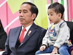 Vlog Jokowi-Jan Ethes Dianggap Tak Peka Karhutla, Istana Angkat Bicara