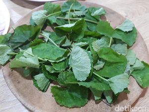 9 Manfaat Daun Pegagan untuk Otak, Kesehatan, dan Kecantikan Kulit 9 Manfaat Daun Pegagan untuk Otak, Kesehatan, dan Kecantikan Kulit
