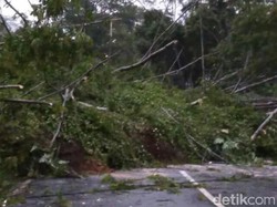 Jalur Utama Magelang-Purworejo Tertutup Longsor