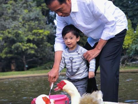 Santai Sebelum Nyoblos Ala Jokowi: Main Bersama Cucu Tercinta