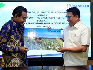 Dukungan BRI untuk Kemajuan Sektor Pertanian