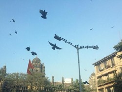 Taj Mahal, Mumbai dan Surganya Bollywood