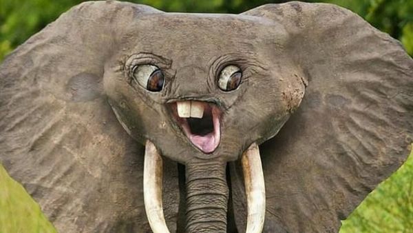 Seram Tapi Lucu, Imajinasi Coretan Bocah Jika Berwujud Nyata