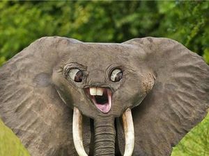 Seram Tapi Lucu, Imajinasi Coretan Bocah Jika Berwujud Nyata