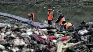 Aksi Petugas Bersih-bersih Sampah di Kanal Banjir Timur