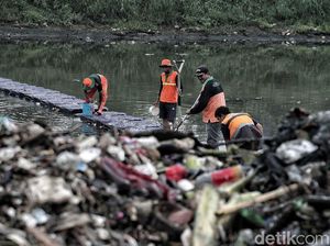 Aksi Petugas Bersih-bersih Sampah di Kanal Banjir Timur
