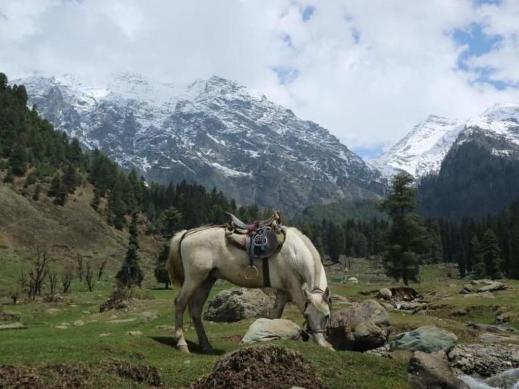 Kashmir, Pesona di Balik Pegunungan Himalaya Kashmir, Pesona di Balik Pegunungan Himalaya