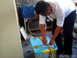 Buaya Muara-Ular Piton di Blitar Diamankan dari Diduga Pemakai Narkoba