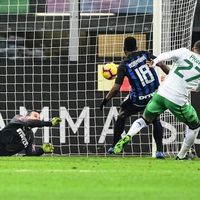 Terima Kasih Handanovic