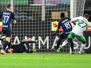 Terima Kasih Handanovic