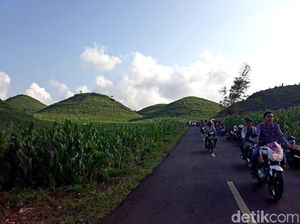 Foto: Bukit Teletubbies dari Gunungkidul