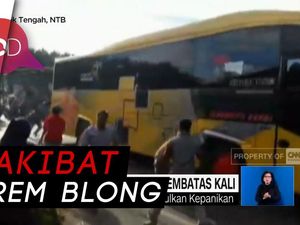 Rem Blong Saat Nanjak, Bus Tabrak Tembok Pembatas Kali