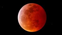 Keren! Penampakan Gerhana Bulan Serigala di Seluruh Dunia