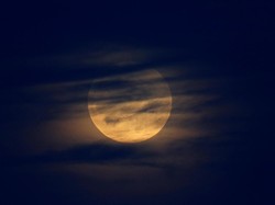 Wolf Moon 2024: Bulan Purnama di Januari dan Waktu Terjadinya