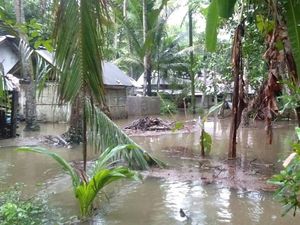 Banjir di Kebumen Surut, Warga Mulai Beraktivitas Kembali