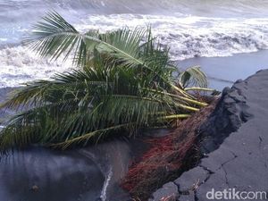 Pantai di Lumajang Abrasi Usai Diterjang Gelombang Tinggi