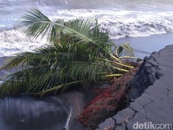 Pantai di Lumajang Abrasi Usai Diterjang Gelombang Tinggi