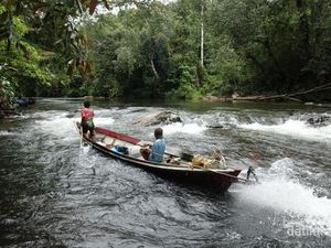 Menembus Lebatnya Hutan, Petualangan ke Jantung Borneo Menembus Lebatnya Hutan, Petualangan ke Jantung Borneo