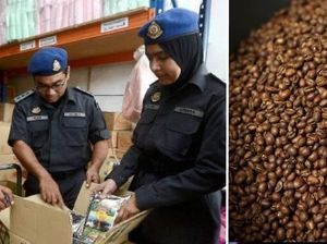 Waduh! Ada Kotoran Tikus di Tempat Pengolahan Biji Kopi, Penang Waduh! Ada Kotoran Tikus di Tempat Pengolahan Biji Kopi, Penang