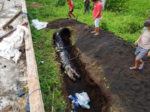 Terkuaknya Misteri Matinya Buaya 660 Kg Pemakan Orang Terkuaknya Misteri Matinya Buaya 660 Kg Pemakan Orang