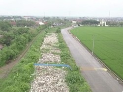 Potret dari Udara Kali Ulu Bekasi Penuh Sampah dan Eceng Gondok