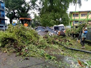 Pohon Tumbang Timpa 2 Mobil dan 1 Rumah Warga di Makassar