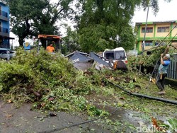 Pohon Tumbang Timpa 2 Mobil dan 1 Rumah Warga di Makassar