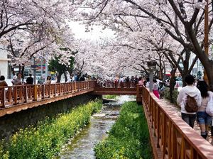 Foto: Gyeongnam, Destinasi Anti Mainstream Korea Selatan Foto: Gyeongnam, Destinasi Anti Mainstream Korea Selatan