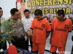 Pengguna Narkoba di Blitar yang Piara Buaya-Ular Juga Tanam Ganja