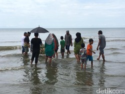 Mohon Keselamatan, Warga Polewali Gelar Ritual Mappande Sasi