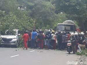 Pohon Tumbang di Jalan Jenggolo Timpa Motor dan Mobil, 2 Orang Luka Pohon Tumbang di Jalan Jenggolo Timpa Motor dan Mobil, 2 Orang Luka