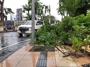 Petugas Pangkas Pohon Tumbang Akibat Angin Kencang di Surabaya Petugas Pangkas Pohon Tumbang Akibat Angin Kencang di Surabaya