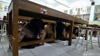 Aksi Siswa SMAN 78 Saat Ikuti Simulasi Tanggap Bencana