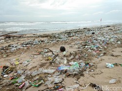 Banyak Sampah, Pengunjung Dilarang Surfing di Pantai Kuta-Petitenget