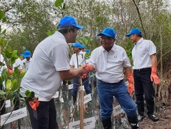 Pertamina EP Salurkan 5.000 Bibit Mangrove dan 2 Perahu di Surabaya