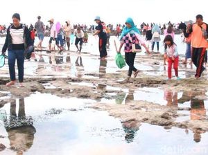 Mengenal Tradisi Bau Nyale yang Unik dari Lombok