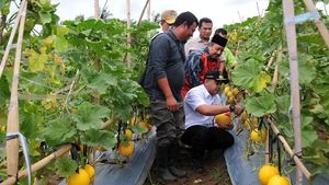 Bupati Tangerang Dukung Petani Hortikultura